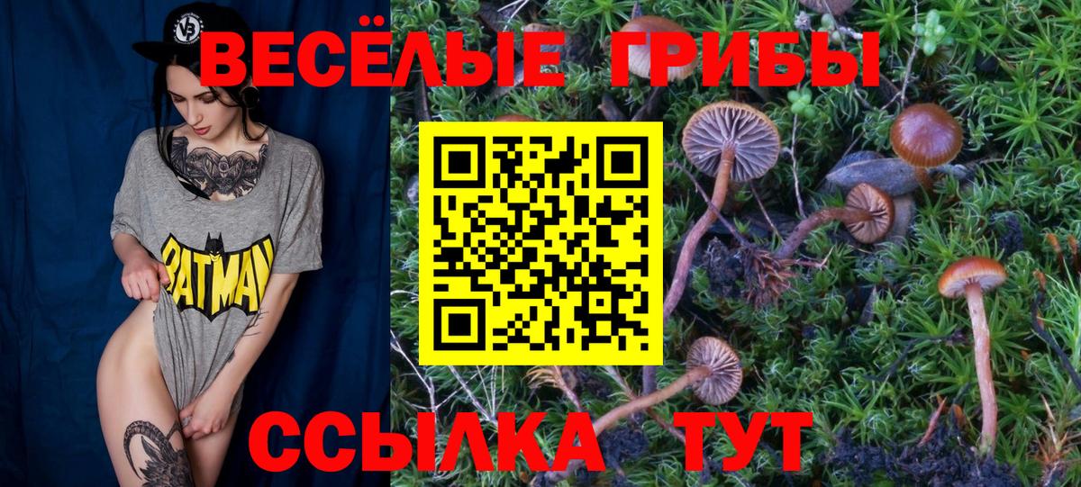 Балашиха  купить наркоту  Вход с VPN  Галлюциногенные грибы Magic Shrooms 